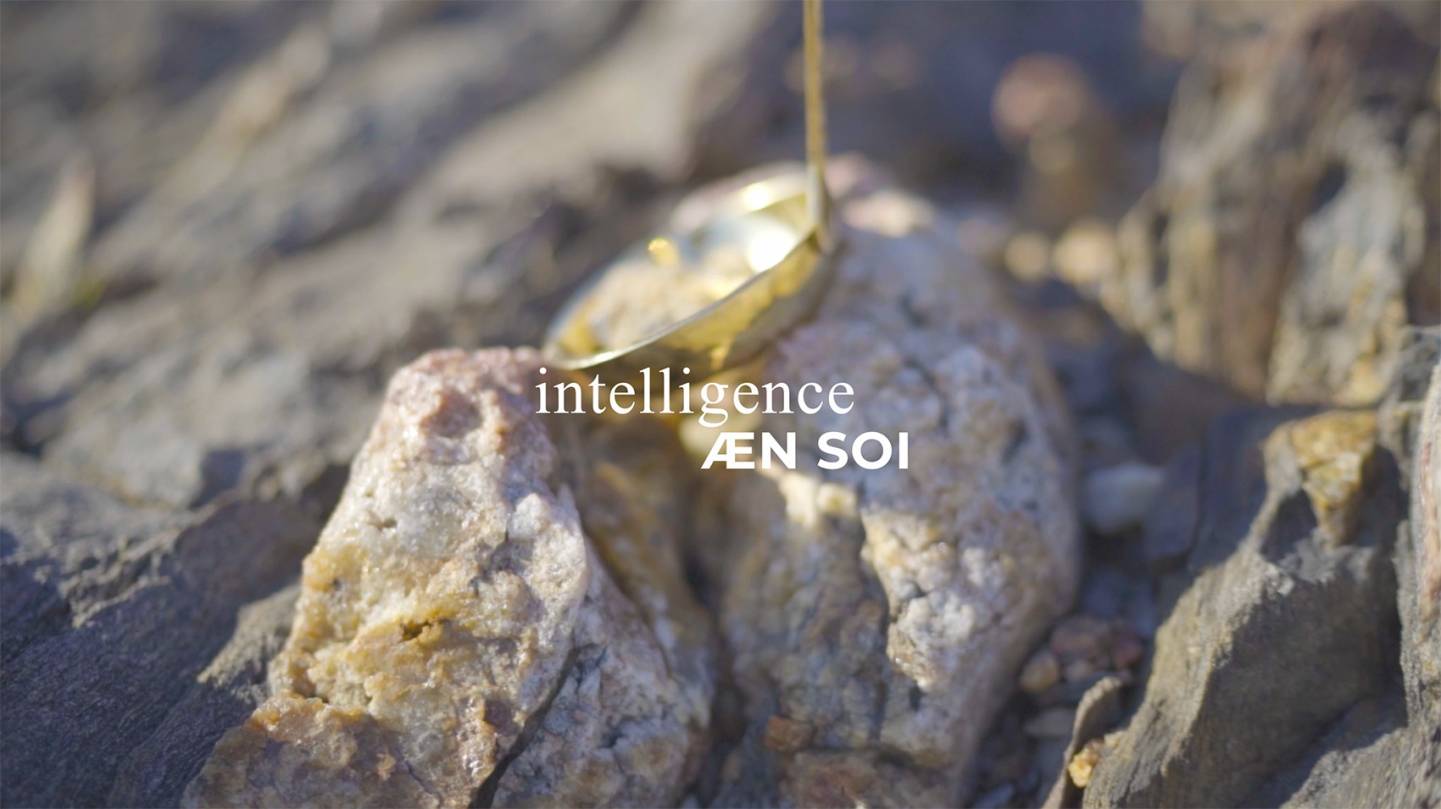 IAE_couverture-2_projet-intelligence-aen-soi